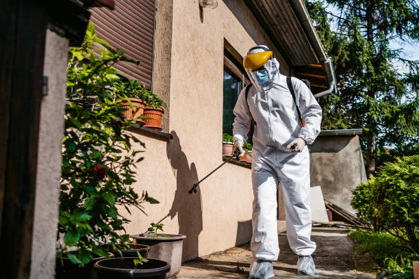 Flea Control Services in Bel Air North, MD