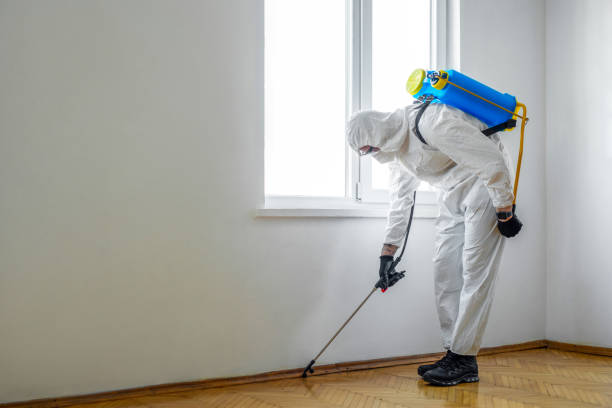 Best Wildlife Control Services  in Bel Air North, MD