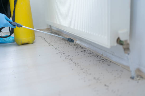 Best Pest Removal Services  in Bel Air North, MD